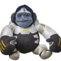 オーバーウォッチ
