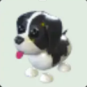 Adopt Me