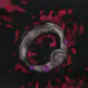 Path of Exile