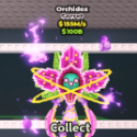 Steal a Brainrot