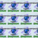 Case Paradise