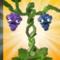 Plants vs Brainrots