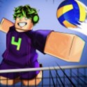 Volleyball Legends