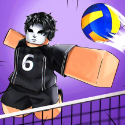 Volleyball Legends