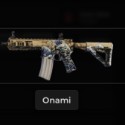 Rainbow Six Siege X