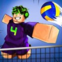 Volleyball Legends