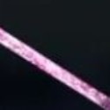 Knife Duels
