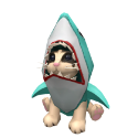 Roblox Limiteds