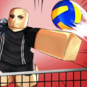 Volleyball Legends
