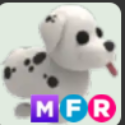 Adopt Me