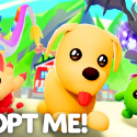 Adopt Me