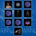 Dark and Darker