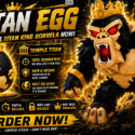 Steal an Egg