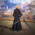 Bleach: Soul Resonance