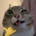FastestGuy_store