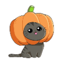 PumpkinKitty