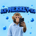 xx-NEXKEY-xx