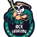 AceLeveling